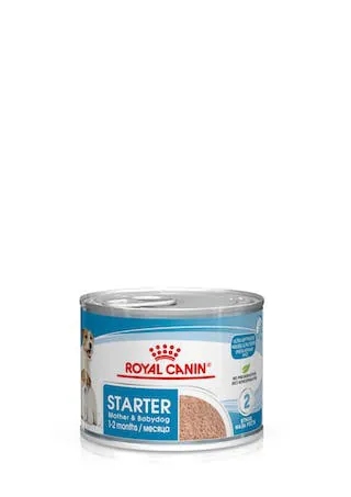 Royal dog starter mousse lattina 195 gr