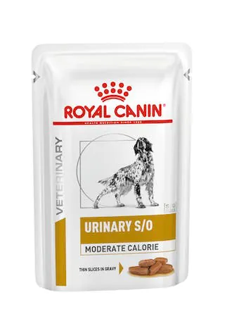 Royal dog urinary s/o moderate calorie bustina 100 gr