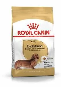 Royal dog bassotto 1,5 kg
