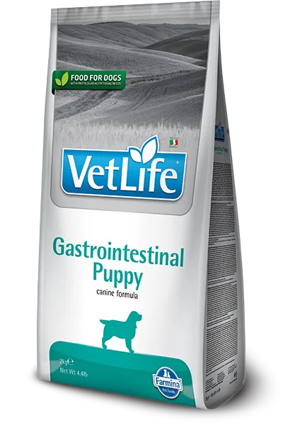 Vet life dog gastrointestinal puppy 2 kg