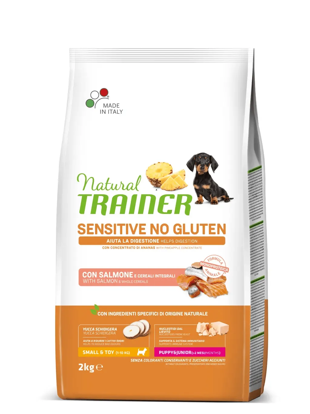 Trainer natural dog sensitive puppy mini salmone 2 kg