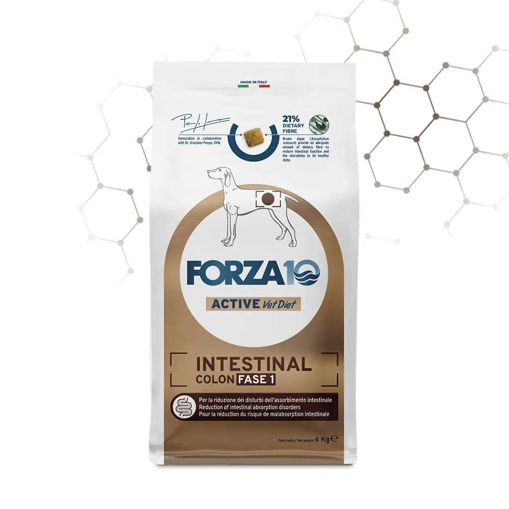 Forza 10 intestinal colon fase i active 4 kg