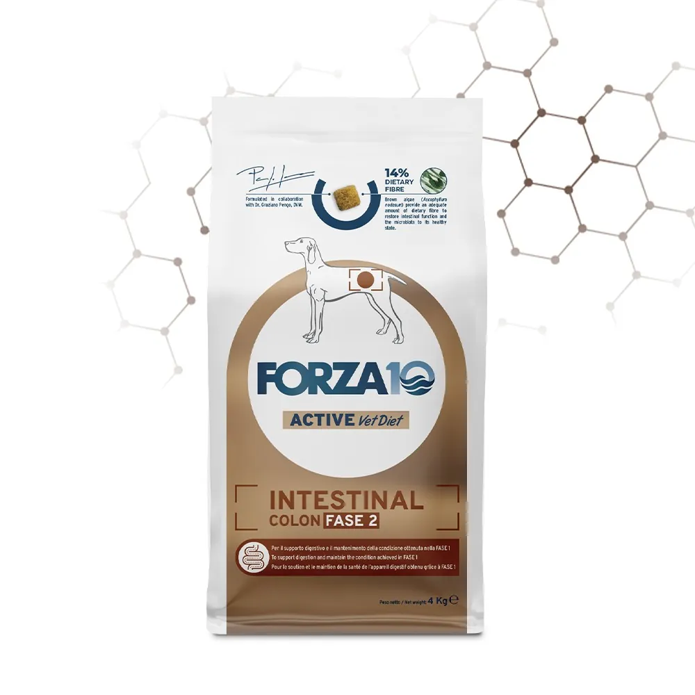 Forza 10 intestinal colon fase ii active 4 kg