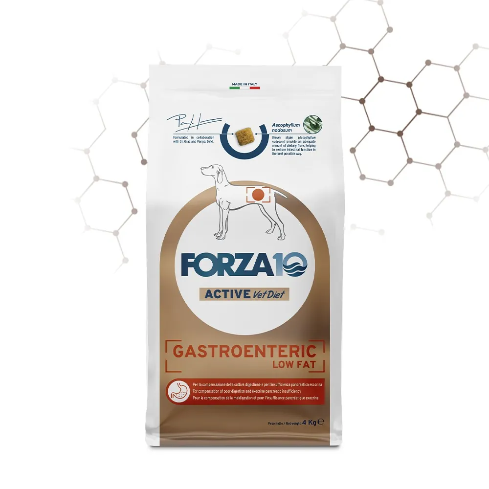 Forza 10 gastroenteric active 4 kg