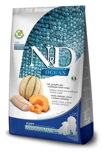 Nd dog ocean zucca merluzzo cantalupo puppy medio maxi 12 kg
