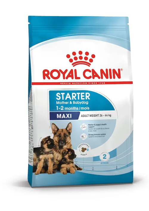 Royal dog starter mother & babydog maxi 15 kg