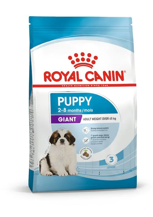 Royal dog puppy giant 15 kg