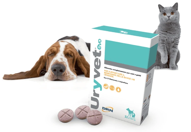 Uryvet evo 1500 mg 32 compresse
