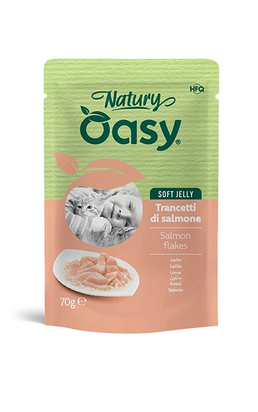 Oasy Cat Trancetti di Salmone Jelly Bustina 70 Gr