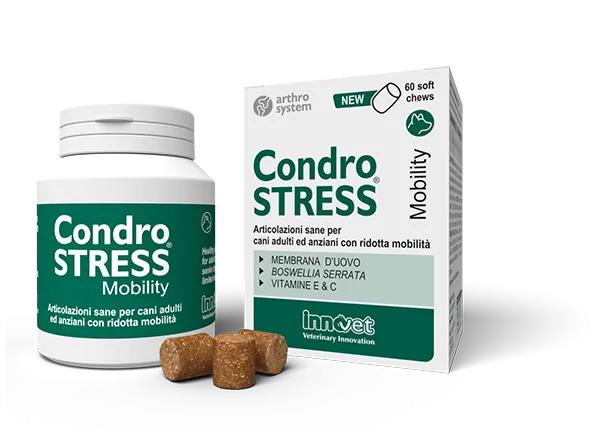 Condrostress mobility 60 chews