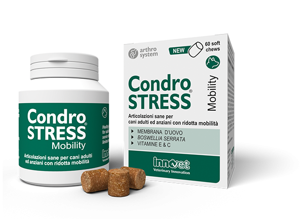 Condrostress mobility 30 chews