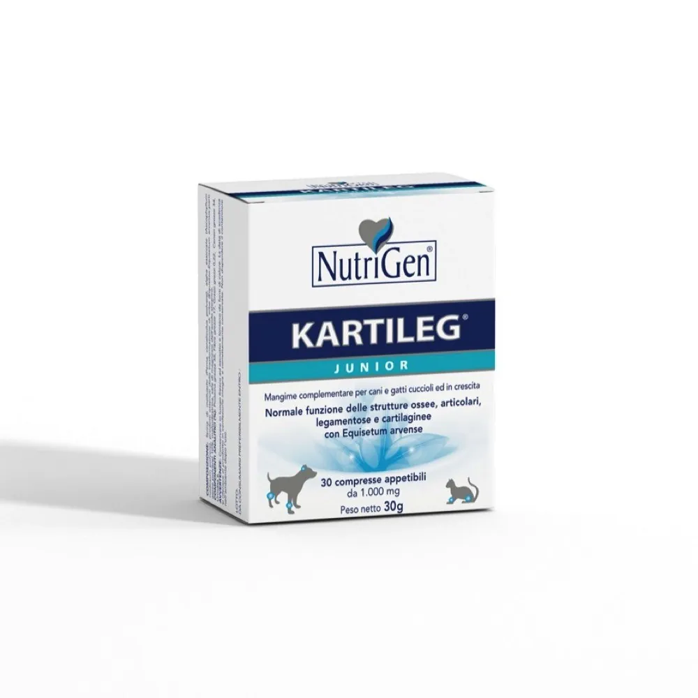 Kartileg junior 120 cpr