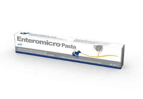 Enteromicro pasta 15 ml