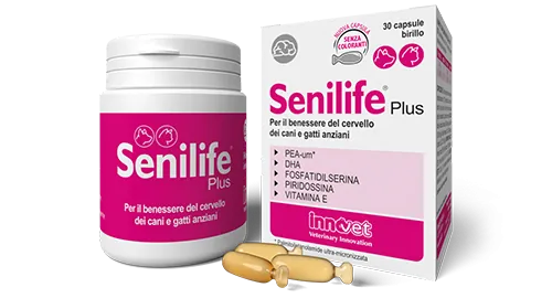 Senilife plus 30 cps