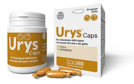 Urys caps cane e gatto 30 birilli