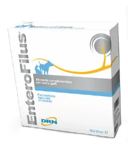 Enterofilus 10 ml 12 fiale