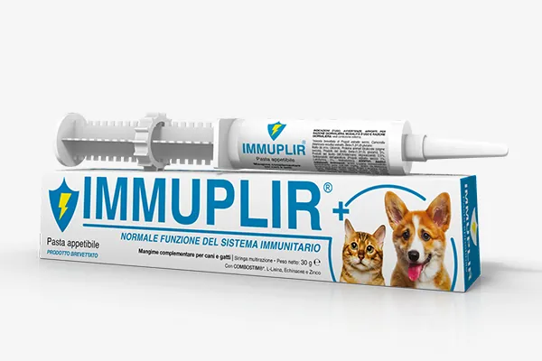 Immuplir pasta 30 gr