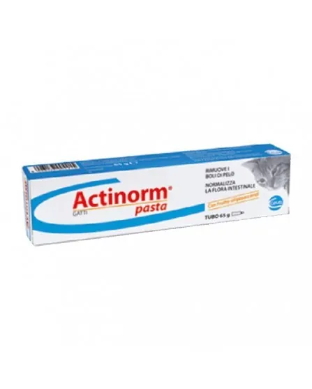 Actinorm pasta gatti 65 gr