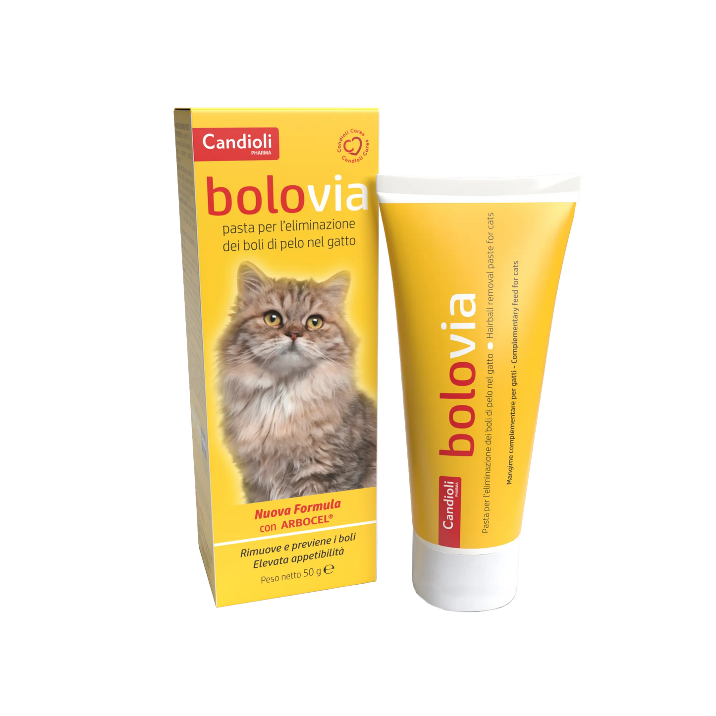 Bolo via pasta 50 gr