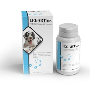 Legart maxi 60 cpr da 2 gr