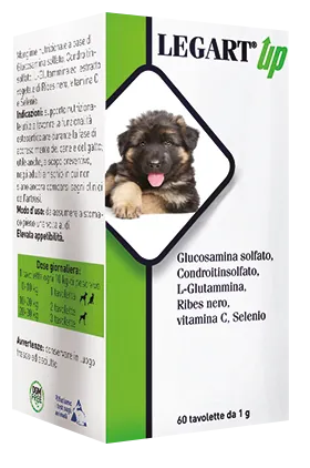 Legart up tavolette 1 gr 60cpr