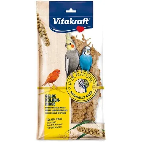 Vk nature spiga di panico
