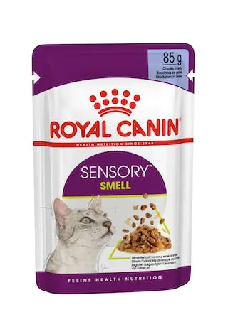 Royal cat sensory smell jelly bustina 85 gr