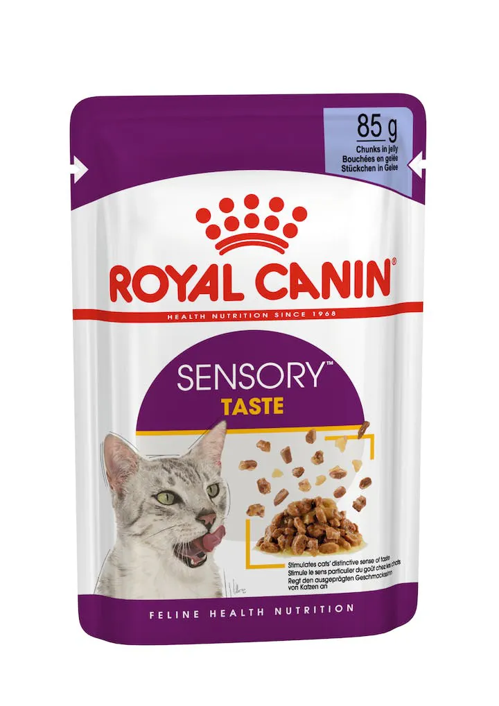 Royal cat sensory taste jelly bustina 85 gr