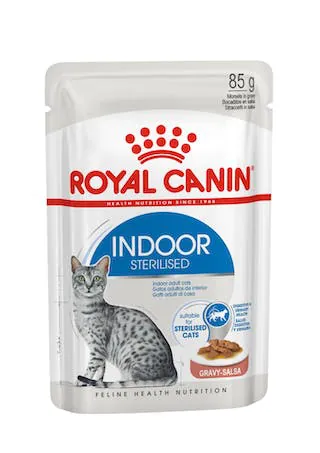 Royal cat indoor gravy bustina 85 gr