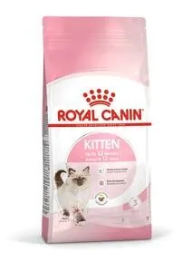 Royal cat kitten 2 kg