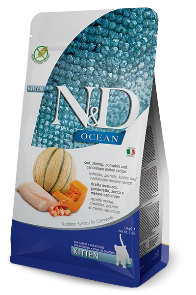 Nd cat ocean zucca gamberetti e cantalupo kitten 300 gr