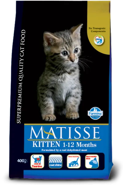 Matisse kitten 10 kg