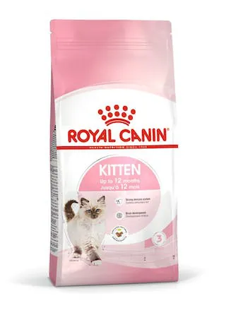 Royal cat kitten 10 kg