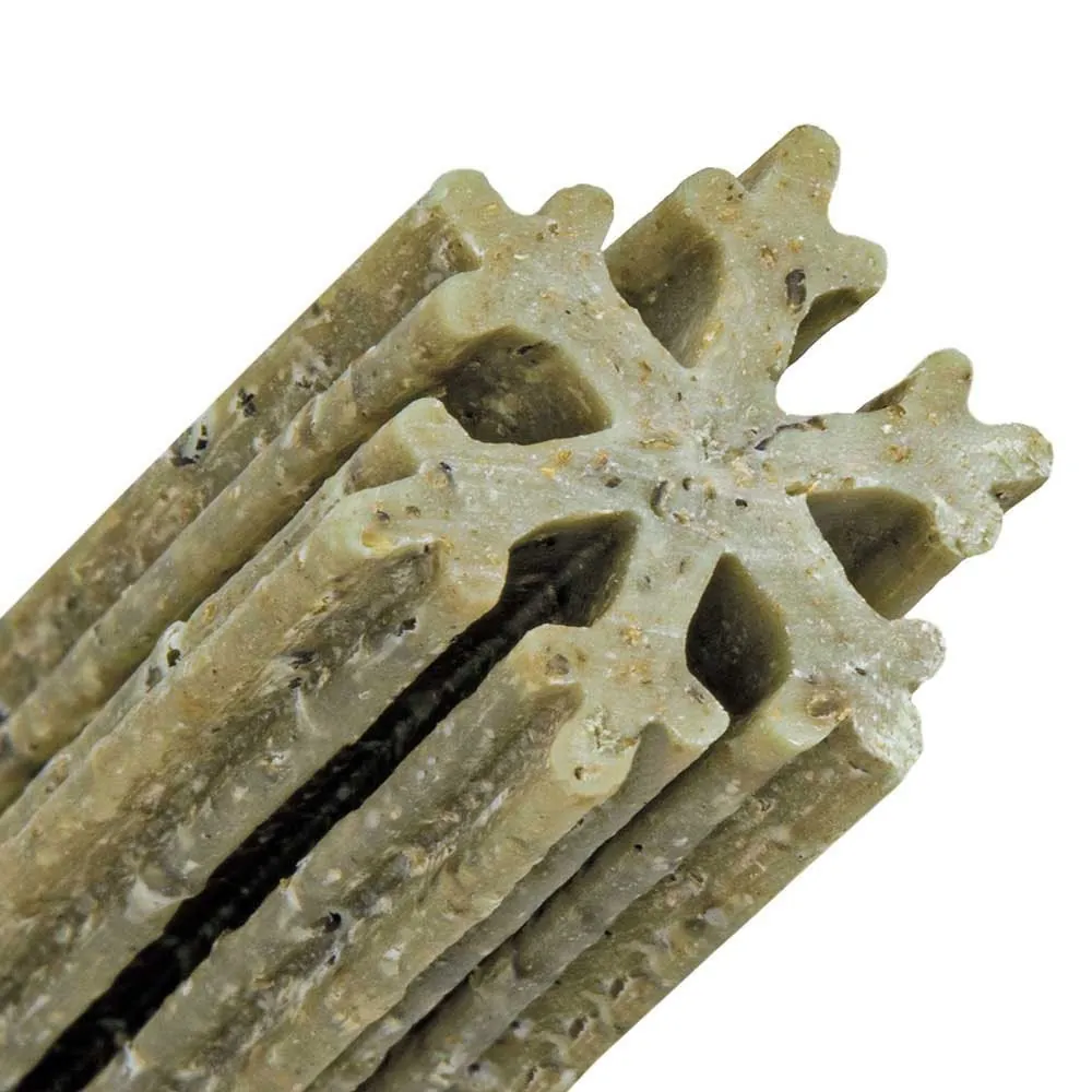Snowflake alga ascophillum x 4 medium