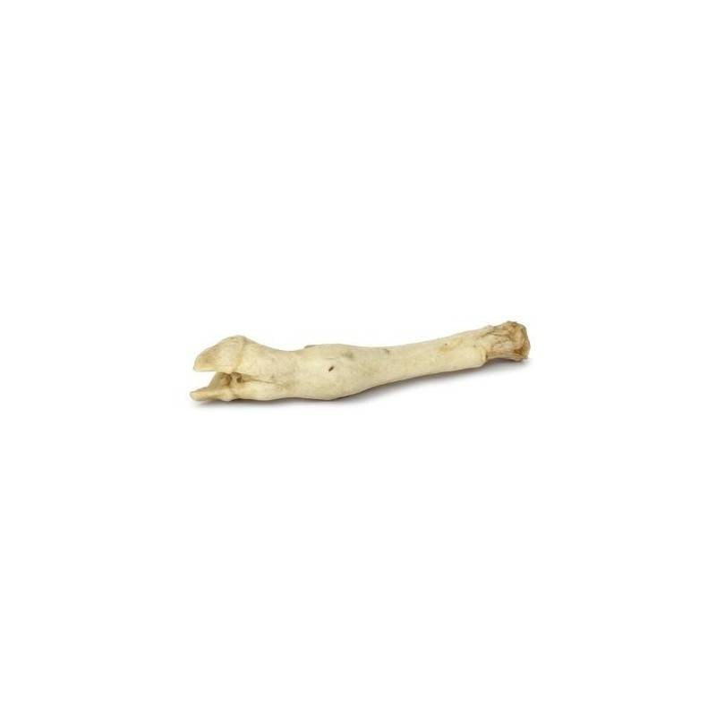 Orazio Zampetta Di Agnello 2 Pz - Scade il 03/07/2026