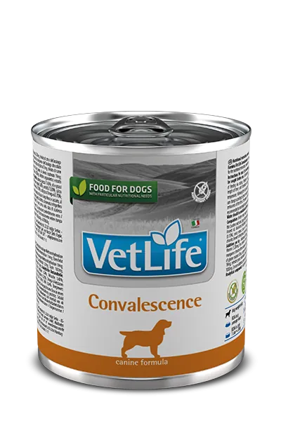 Vet life dog convalescence 300 gr