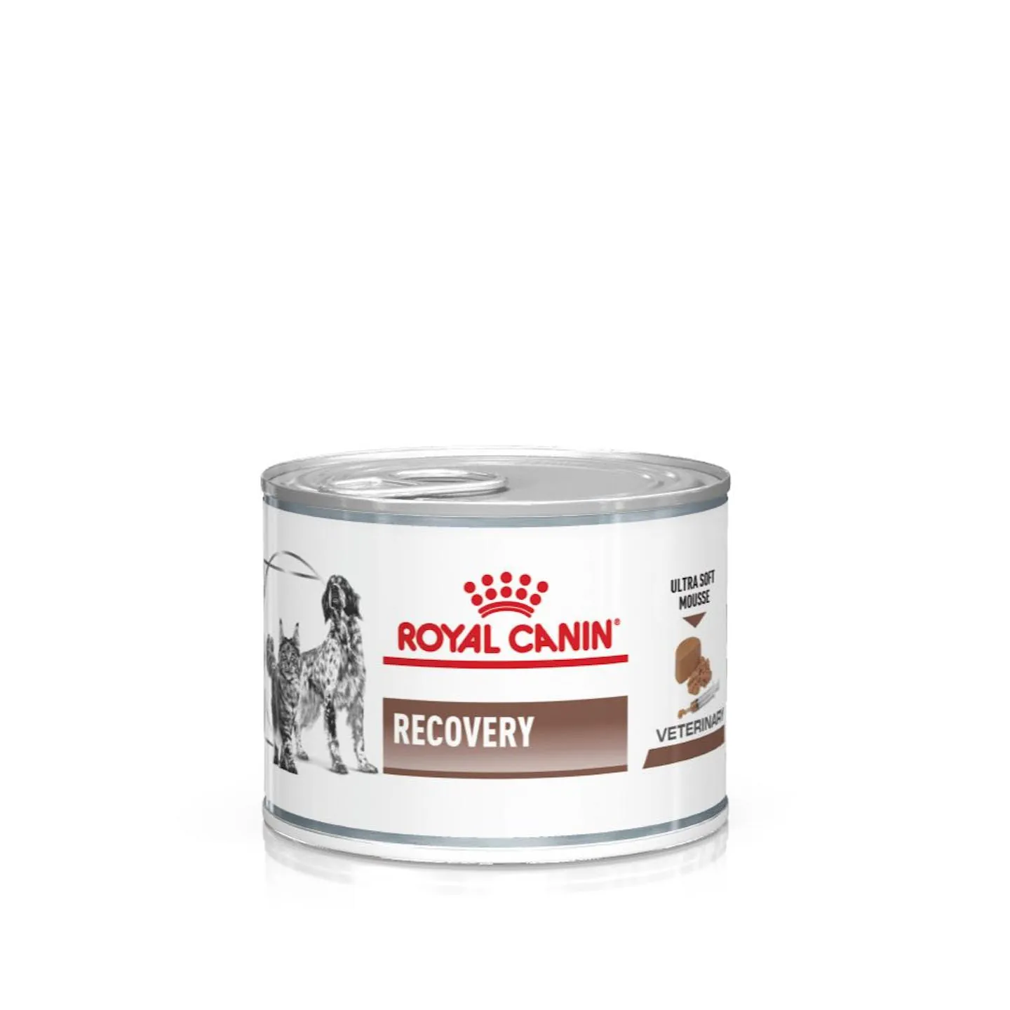 Royal cat & dog recovery lattina 195 gr