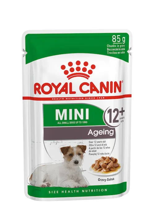 Royal dog ageing mini bustina 85 gr