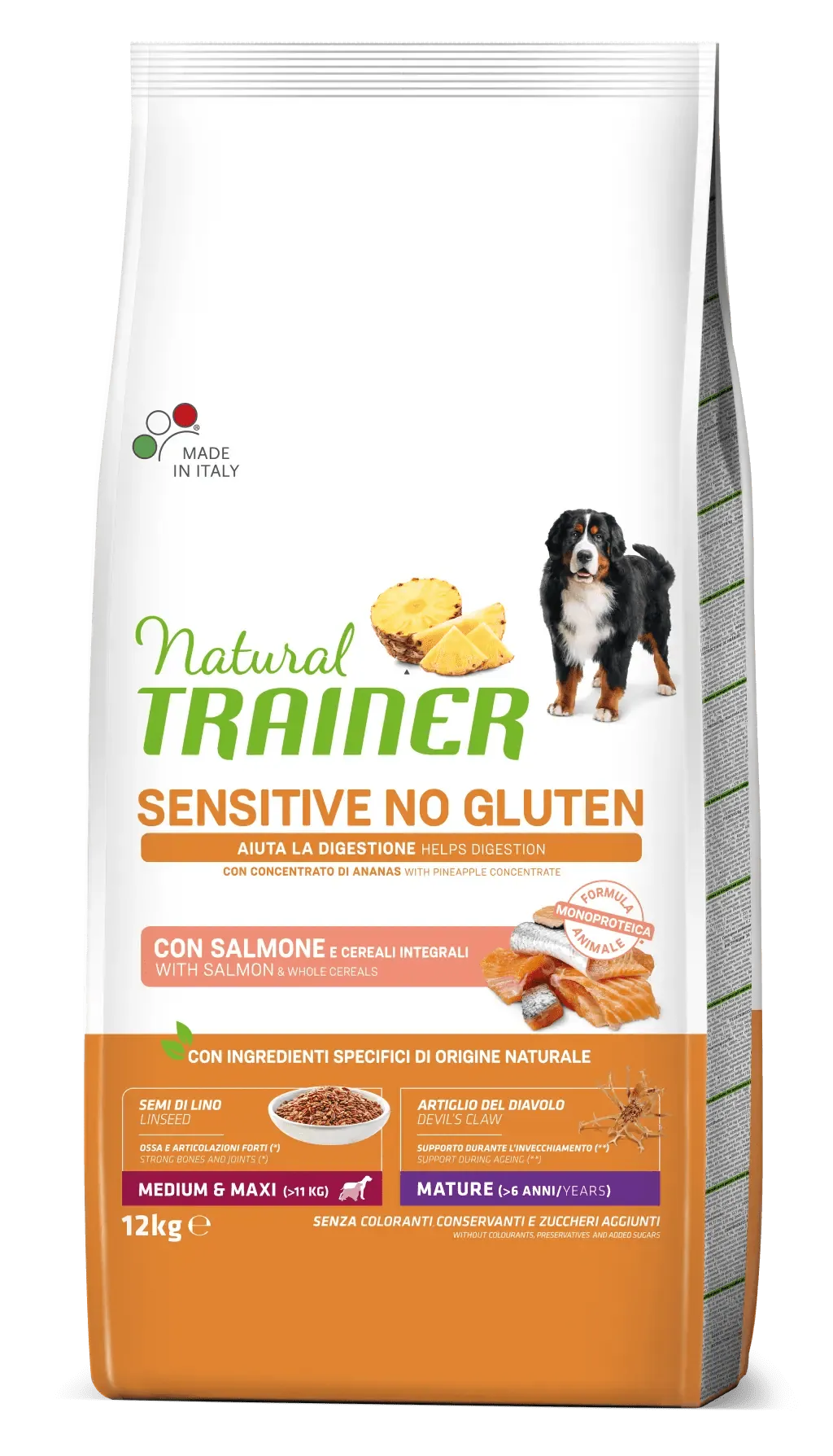Trainer natural dog sensitive mature medium maxi salmone 12 kg