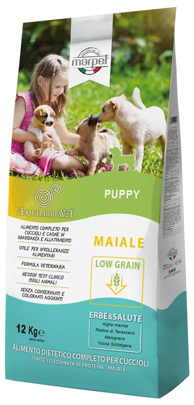 Aequilibria dog maiale puppy 1,5 kg