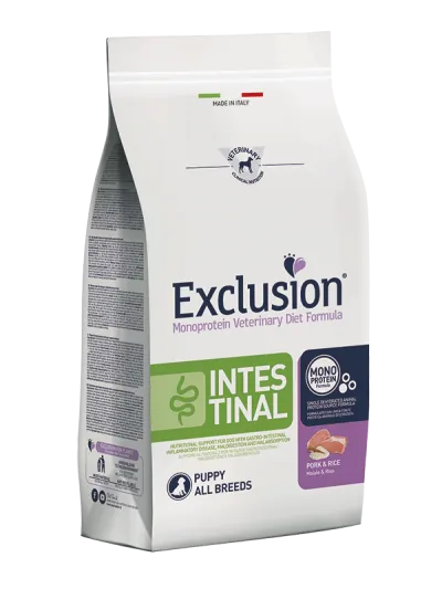 Exclusion dog intestinal puppy 12 kg