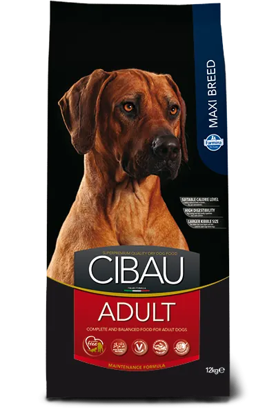 Cibau adult maxi 12 kg