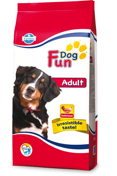 Fun dog adult 20 kg