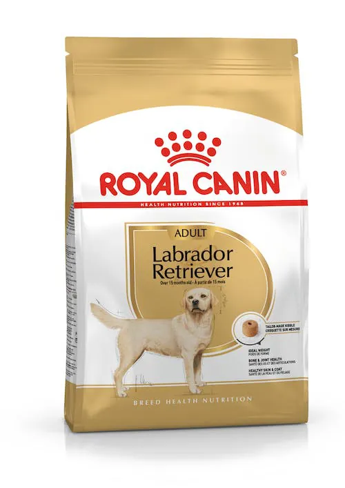 Royal dog adult labrador 12 kg