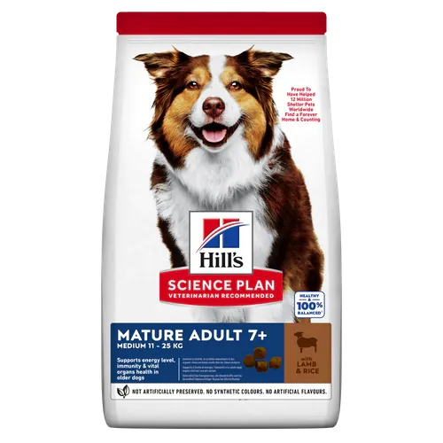 Hills cane mature medio agnello 12 kg