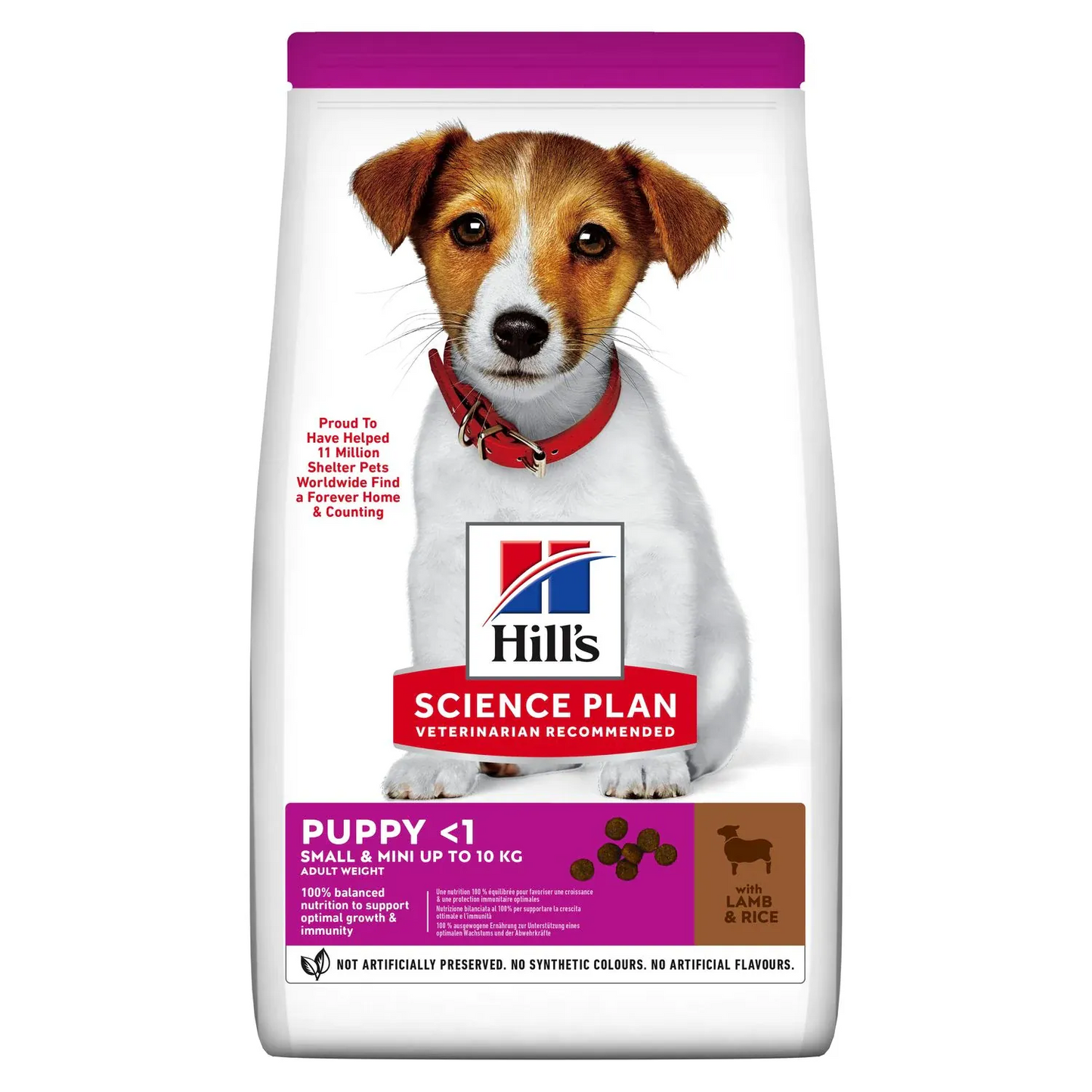 Hills cane puppy small & mini agnello 1,5 kg