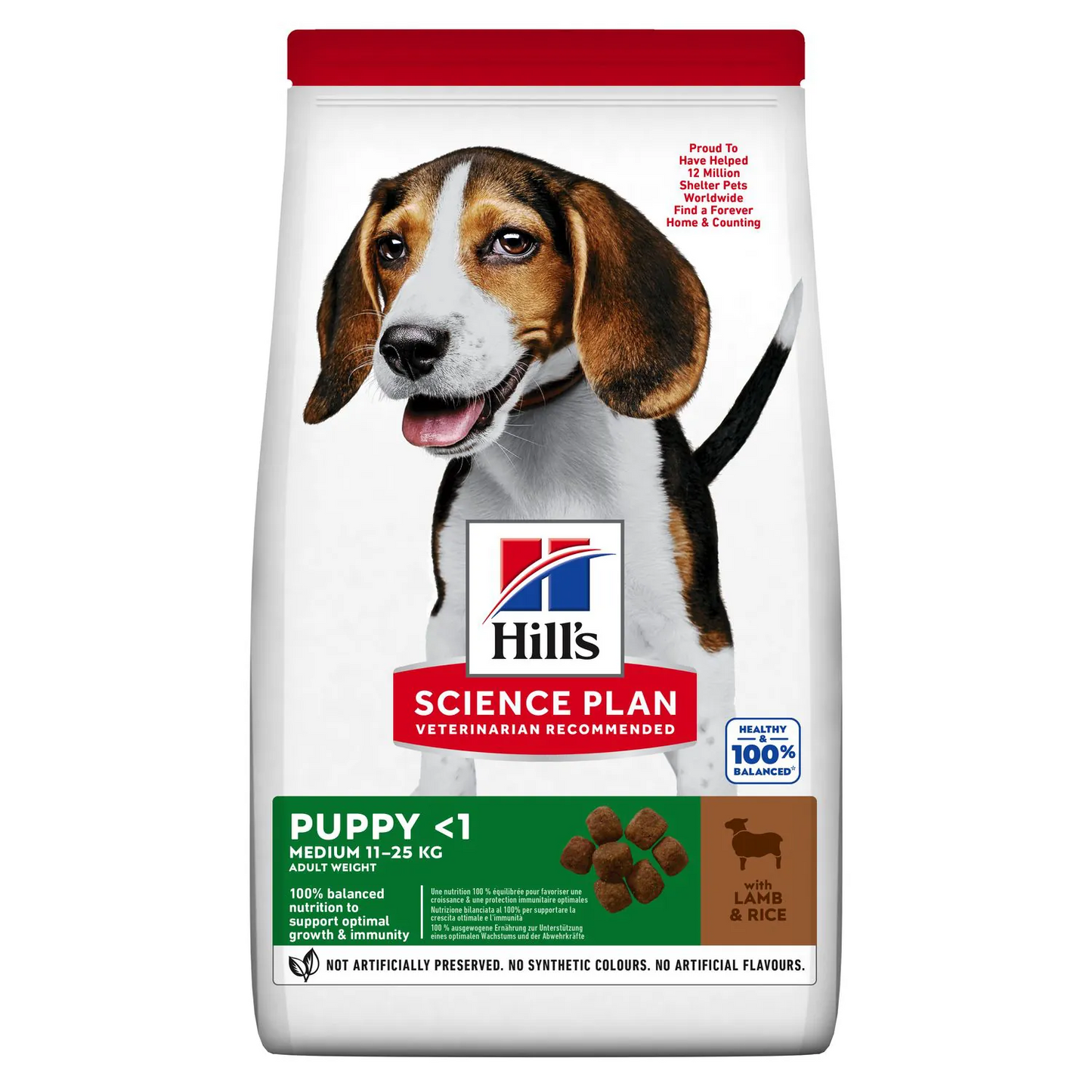 Hills cane puppy medio agnello  2,5 kg