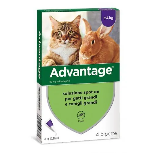 Advantage gatti 80 mg oltre 4 kg 4 pipette