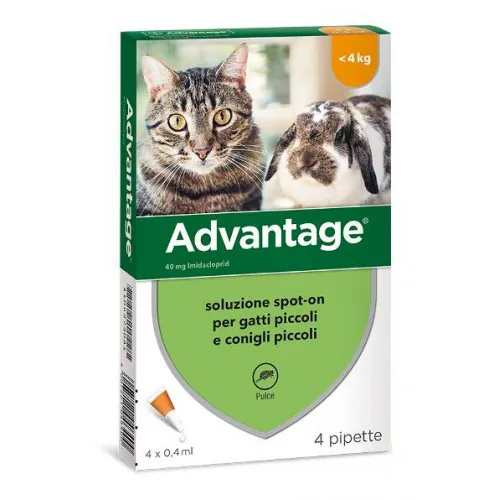Advantage gatti 40 mg fino 4 kg 4 pipette
