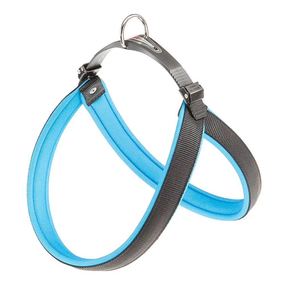 Agila fluo 8 pettorina blu